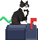 A black and white cat in a tuxedo sitting on a mailbox, its tail shaped like a tilde